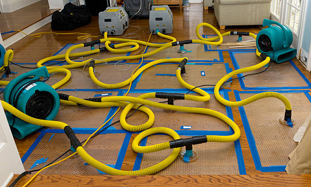 Professional Water Damage Repair technician working in Danevang, TX